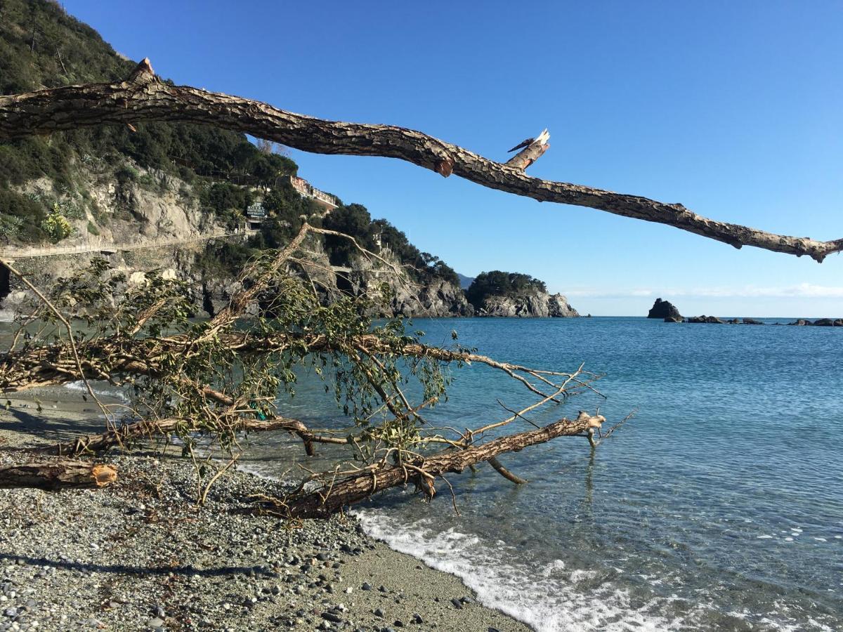 Le Cinque Vele ***** Cinque Terre Lägenhet Monterosso al Mare Exteriör bild