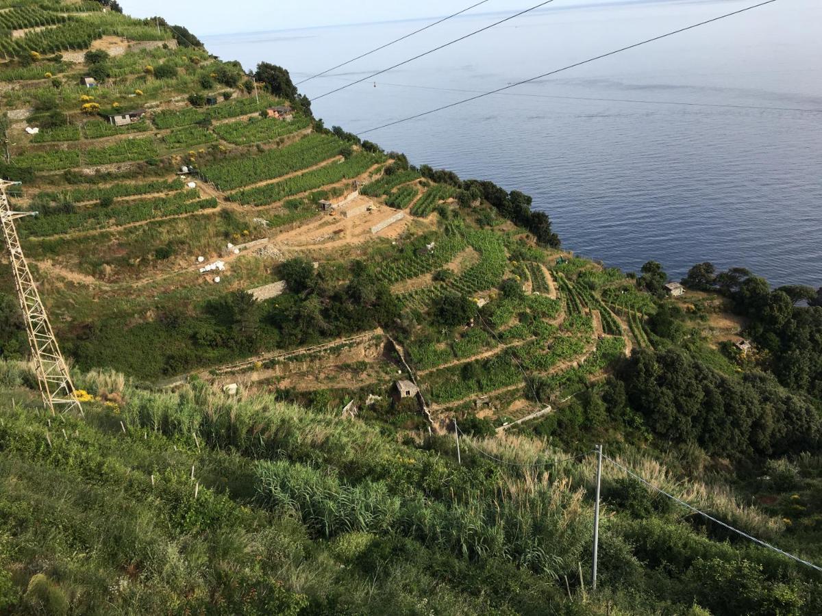 Le Cinque Vele ***** Cinque Terre Lägenhet Monterosso al Mare Exteriör bild