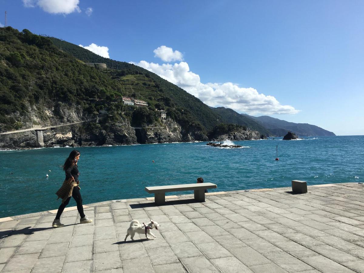 Le Cinque Vele ***** Cinque Terre Lägenhet Monterosso al Mare Exteriör bild